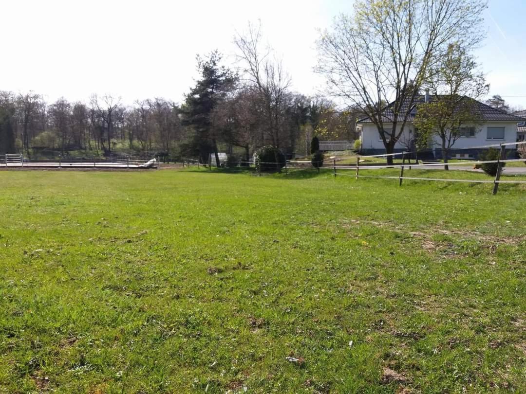 Ferienwohnung Repos Rouge-Plaisir Au Milieu Des Chevaux Kembs Exterior foto