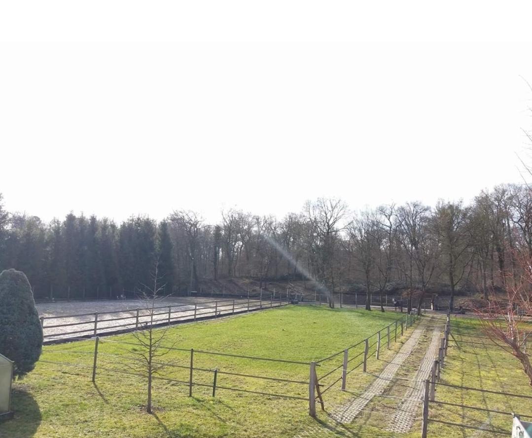 Ferienwohnung Repos Rouge-Plaisir Au Milieu Des Chevaux Kembs Exterior foto
