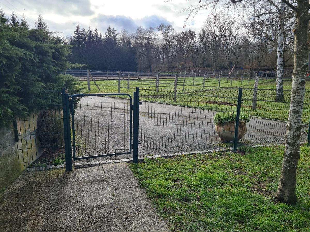 Ferienwohnung Repos Rouge-Plaisir Au Milieu Des Chevaux Kembs Exterior foto