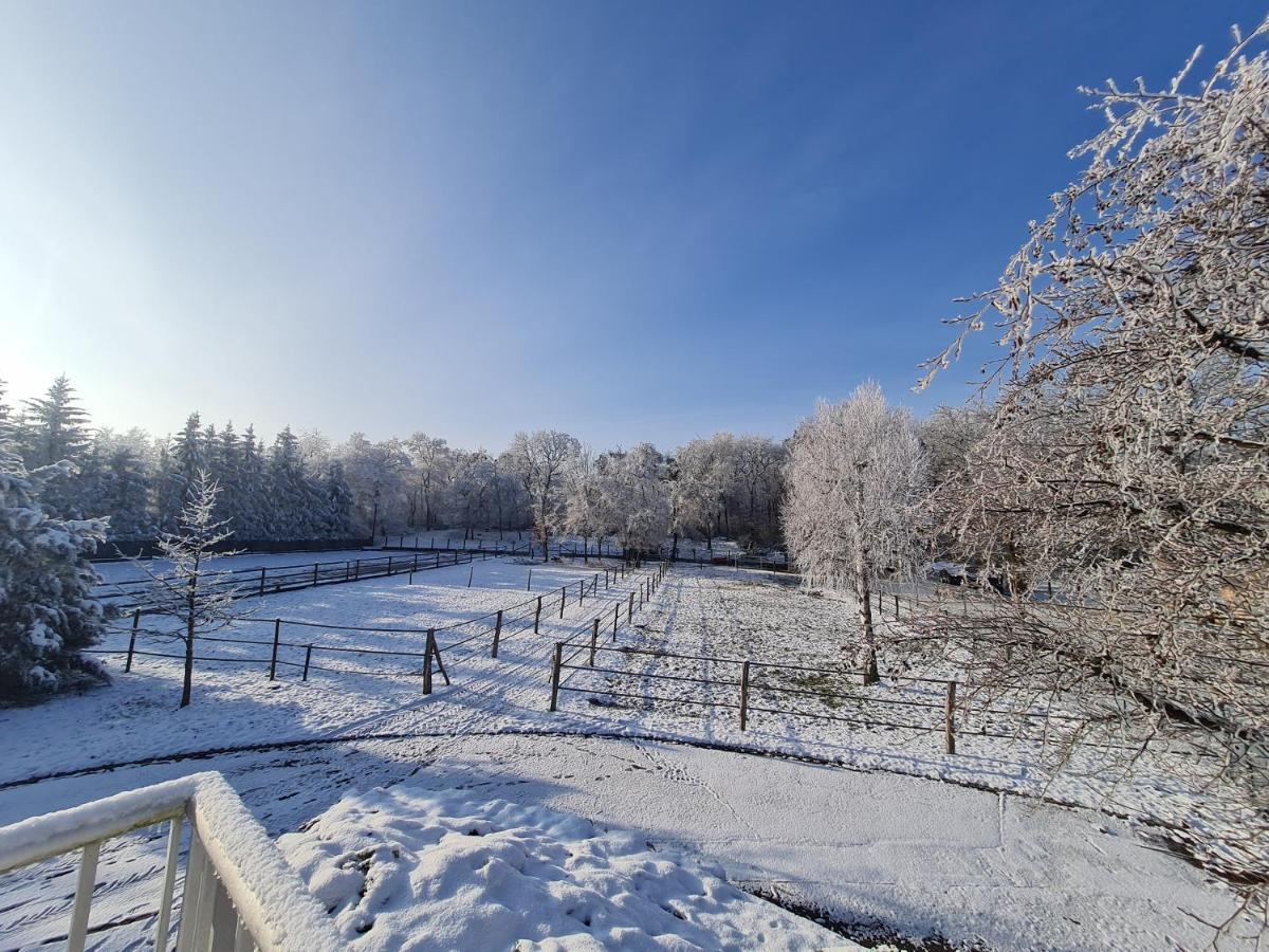 Ferienwohnung Repos Rouge-Plaisir Au Milieu Des Chevaux Kembs Exterior foto