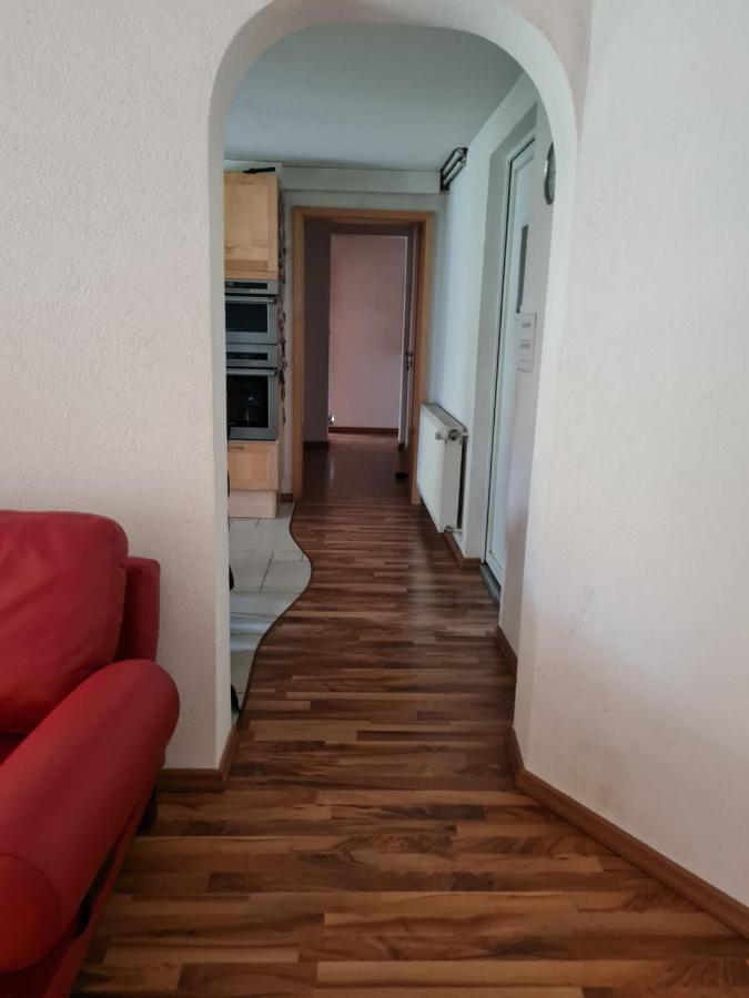 Ferienwohnung Repos Rouge-Plaisir Au Milieu Des Chevaux Kembs Exterior foto