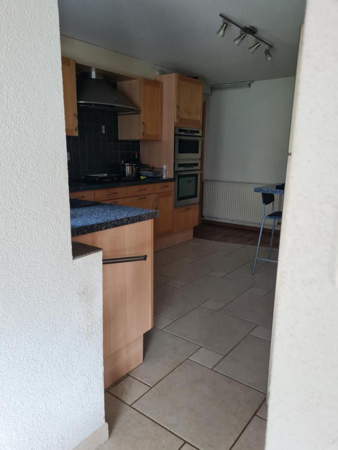 Ferienwohnung Repos Rouge-Plaisir Au Milieu Des Chevaux Kembs Exterior foto