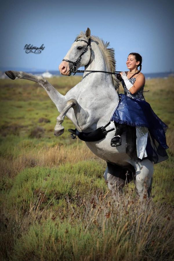 Ferienwohnung Repos Rouge-Plaisir Au Milieu Des Chevaux Kembs Exterior foto